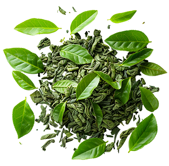 Green tea