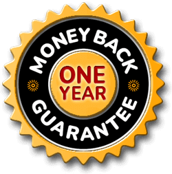 oneYear (2)