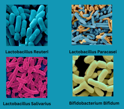 DentPure ingredineta